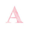 amandalang564